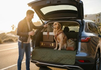 Pet carrier backpack / Car Seat