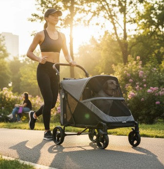 Dog Stroller