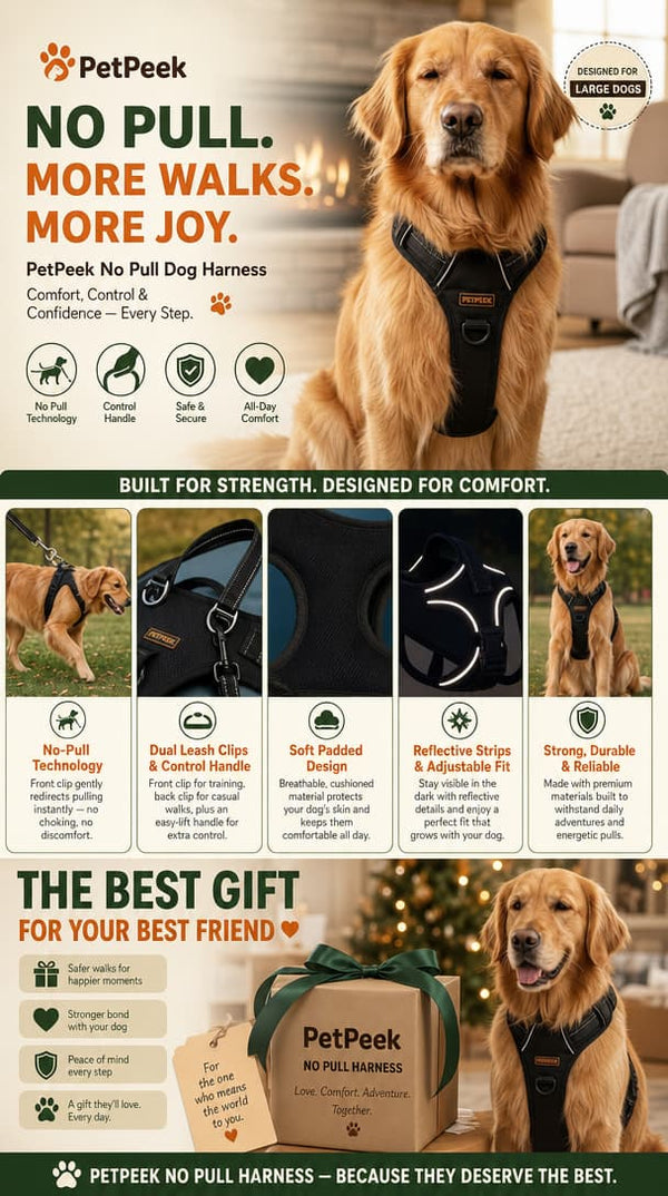 Product placeholder