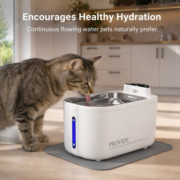 Smart Cat Water Fountain